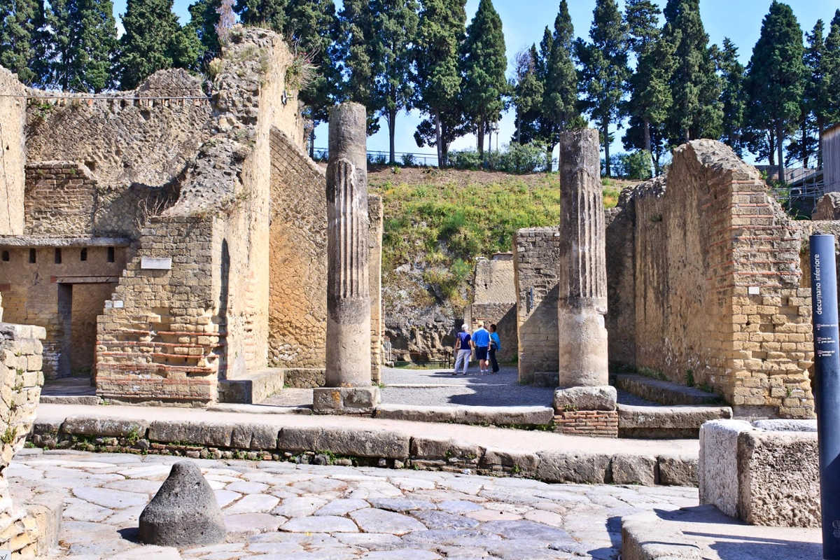 Parco archeologico di Ercolano + APP Audioguida della città di Napoli