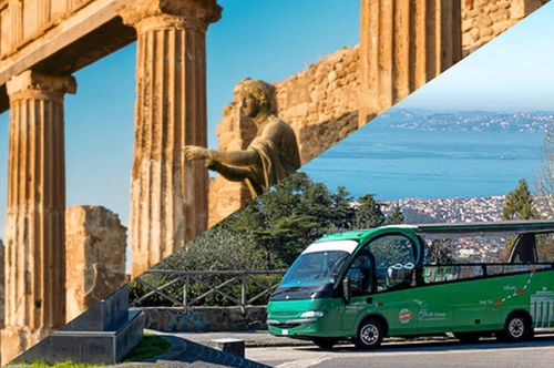 Tour guiado a Pompeya y al Vesubio desde Roma